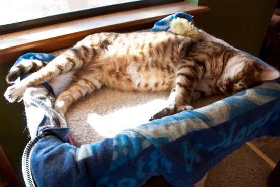 1-19-2015 Brigitte (2)