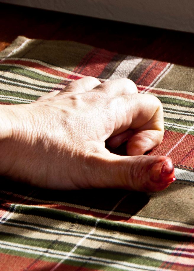 2-15-2015 Mandolin Attack (2)