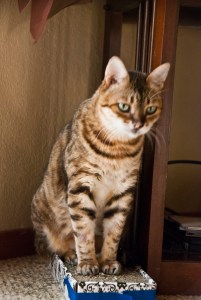 3-28-2015 Brigitte (2)